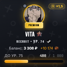 Профиль игрока: VITAS, Premium, ур. 74, баланс 3 308 ₽, прогресс до ур. 75